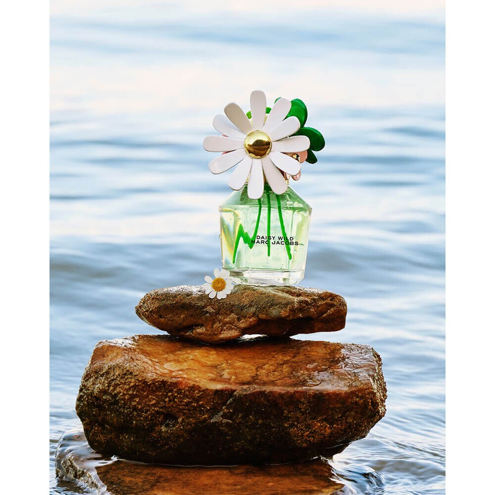 daisy  Daisy Multi Fragrance 4-Piece Holiday Gift Set